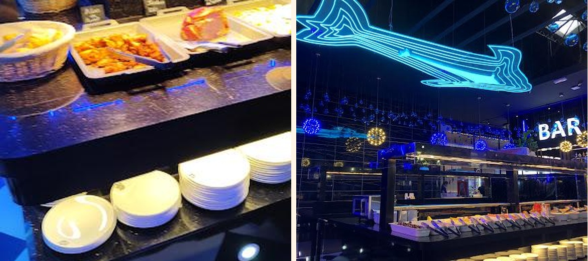 Planet Panda - Gallery Image 7